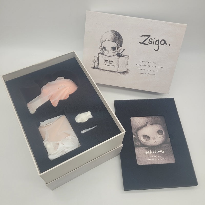 POPMART Zsiga Waiting Figurine Hand Signed by Artist Dan with official entry card.